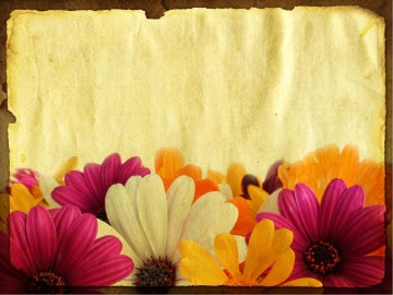 Women of Wisdom Church PowerPoint