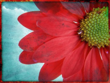The Virtuous Wife Church PowerPoint