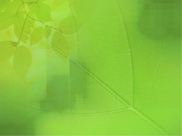 Kindness and Goodness Fruit of the Spirit PowerPoint Template