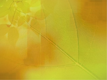 Patience Fruit of the Spirit PowerPoint Template