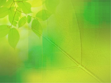 Joy Fruit of the Spirit PowerPoint Template