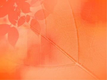Gentleness Fruit Of The Spirit Powerpoint Template