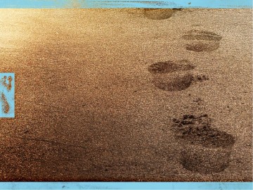 A Fathers Footsteps PowerPoint Template