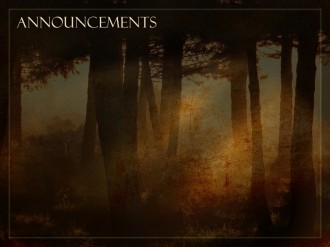 Sunlight And Trees Announcement Background