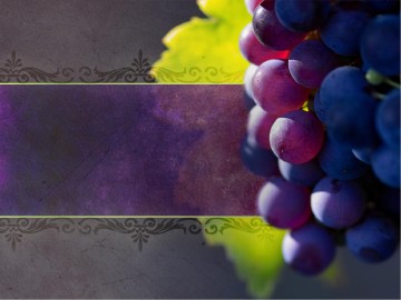 Pruning Is Important Christian PowerPoint