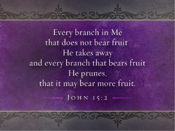Pruning Is Important Christian PowerPoint
