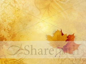 Leaves on Lace Fall Worship Background