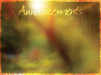 Muted Forest Announcement Background Slide