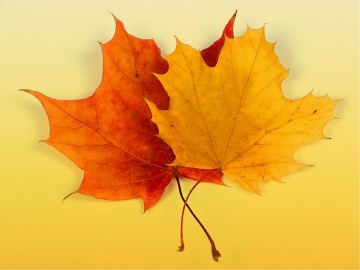 Welcome Fall Sermon PowerPoint