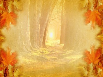Wooded Path Worship Background