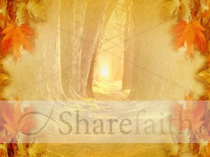 Wooded Path Worship Background
