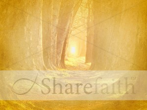 Forest Path Worship Background