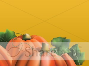 Pumpkins On The Vine Background Slide