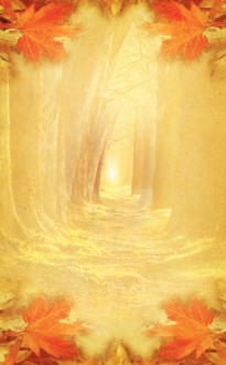 Wooded Path Bulletin Cover