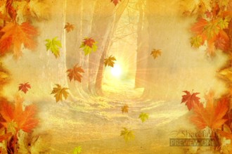 Leaves Falling Background Video