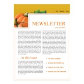 Pumpkin Church Newsletter