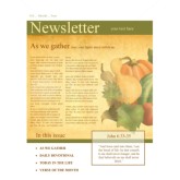 Harvest Of Plenty Church Newletter