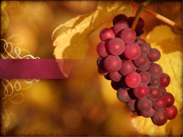 Joyful Thanksgiving Sermon PowerPoint