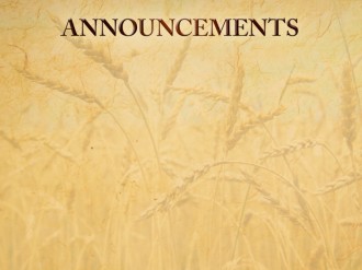 Harvest Thanksgiving Announcement Slide