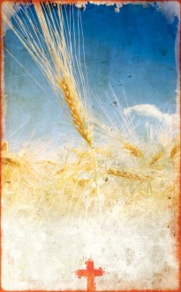 Thanksgiving Harvest Bulletin Cover