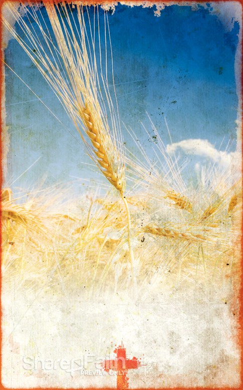 Thanksgiving Harvest Bulletin Cover