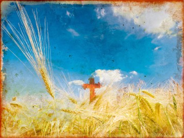 Thanksgiving Harvest Sermon PowerPoint