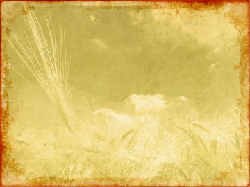 Thanksgiving Harvest Sermon PowerPoint