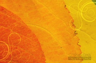 Autumn Worship Video Background