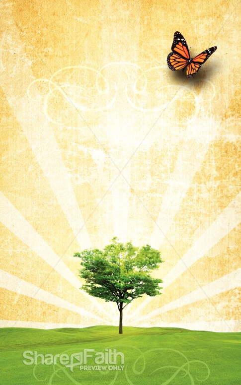 New Creation Bulletin Cover