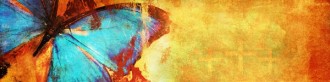Butterfly Email Banner