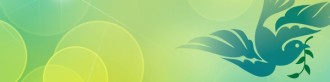 Dove Email Banner