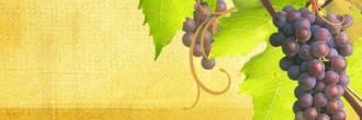 Grapes Email Banner