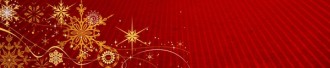 Gold Snowflakes Email Footer
