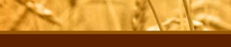 Wheat Email Footer