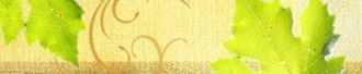 Grape Leaves Email Footer