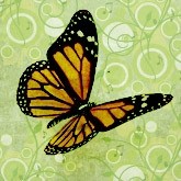 Butterfly Email Image