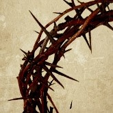 Crown of Thorns Email Image