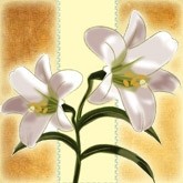 Easter Lily Email Image