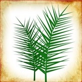 Palm Sunday Branches Email Image