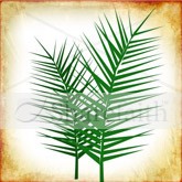 Palm Sunday Branches Email Image