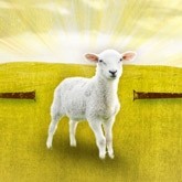 Passover Lamb Email Image