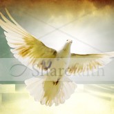 Pentecost Dove Email Image