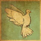Dove of Pentecost Email Image