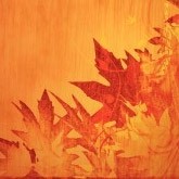 Autumn Leaves Cascade Email Image