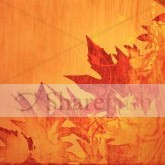 Autumn Leaves Cascade Email Image