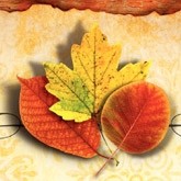 Three Autumn Leaves Email Image