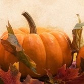 Fall Harvest Pumpkin Email Image