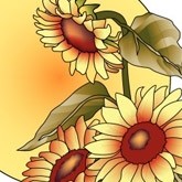 Sunny Sunflowers Email Image