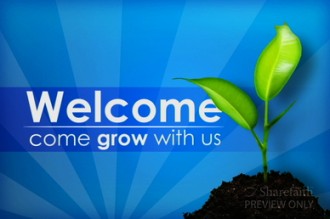Spring Seedling Video Loop