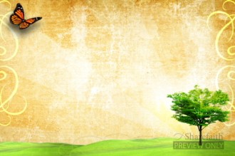 Butterfly and Tree Spring Video Background